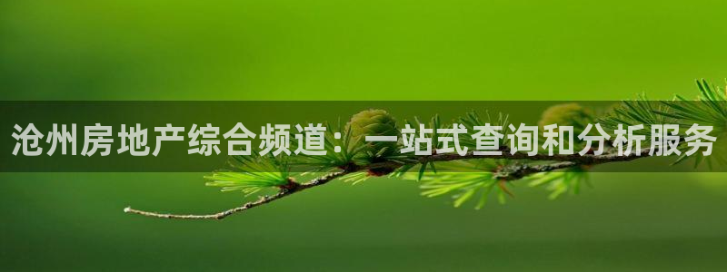 新宝5娱乐登录：沧州房地产综合频道：一站式查询和分析服务