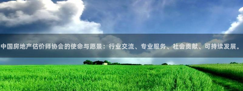 新宝5娱乐同：中国房地产估价师协会的使命与愿景：行业交流、专