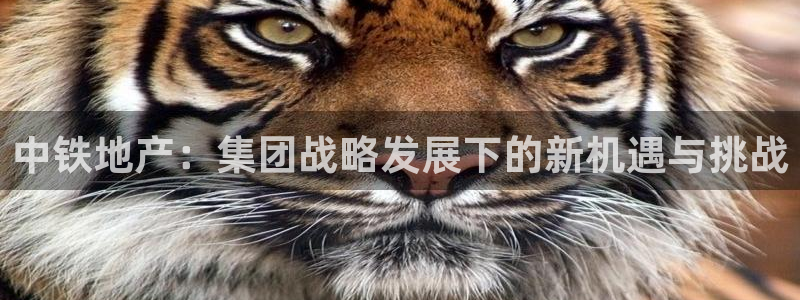 新宝5月：中铁地产：集团战略发展下的新机遇与挑战